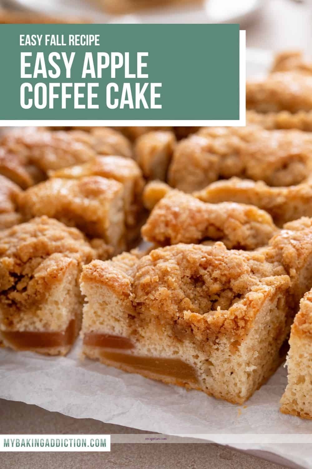 Baking Apple Coffee Cake Step-By-Step Process Kitchen Tools Expert Baking Perfect Apple - apple coffee cake recipes