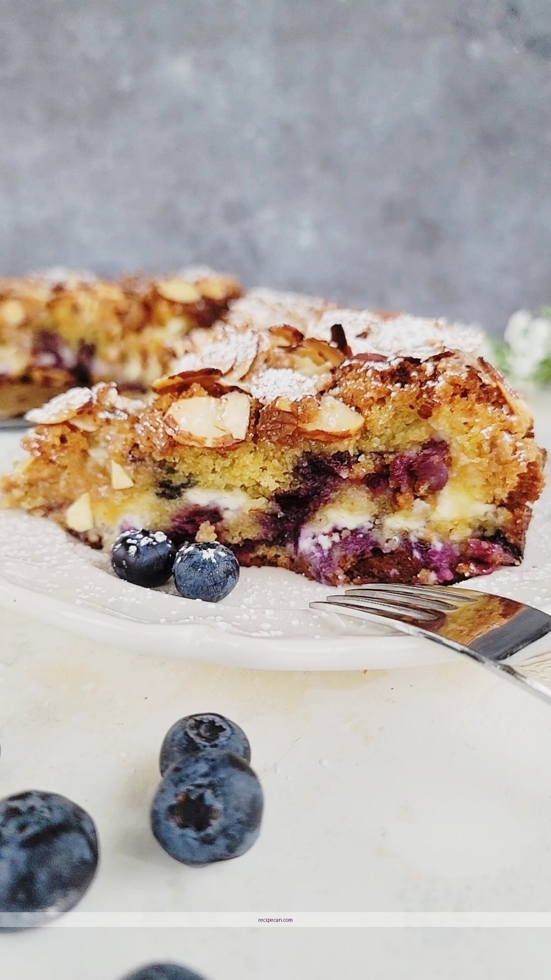 Blueberry Cream Cheese Coffee Cake Baking Process Step-By-Step Protocol Blueberry Cream Cheese - blueberry cream cheese coffee cake recipe