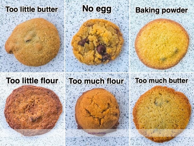 Burnt Chocolate Cake Baking Mistakes Expert Baking Chocolate Cake - chocolate cake recipe without coffee