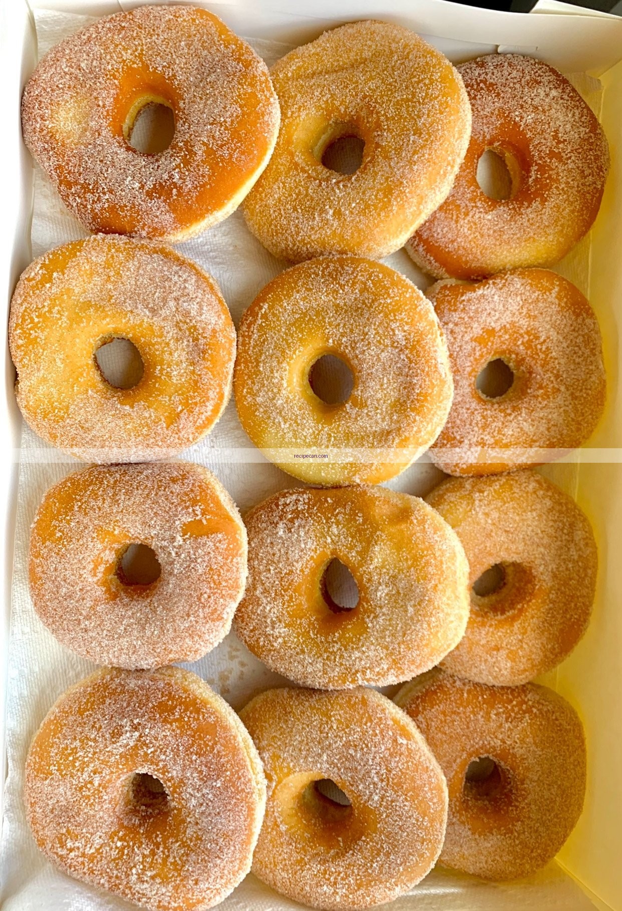 Cinnamon Sugar Donuts Logo - dash mini donut maker recipes
