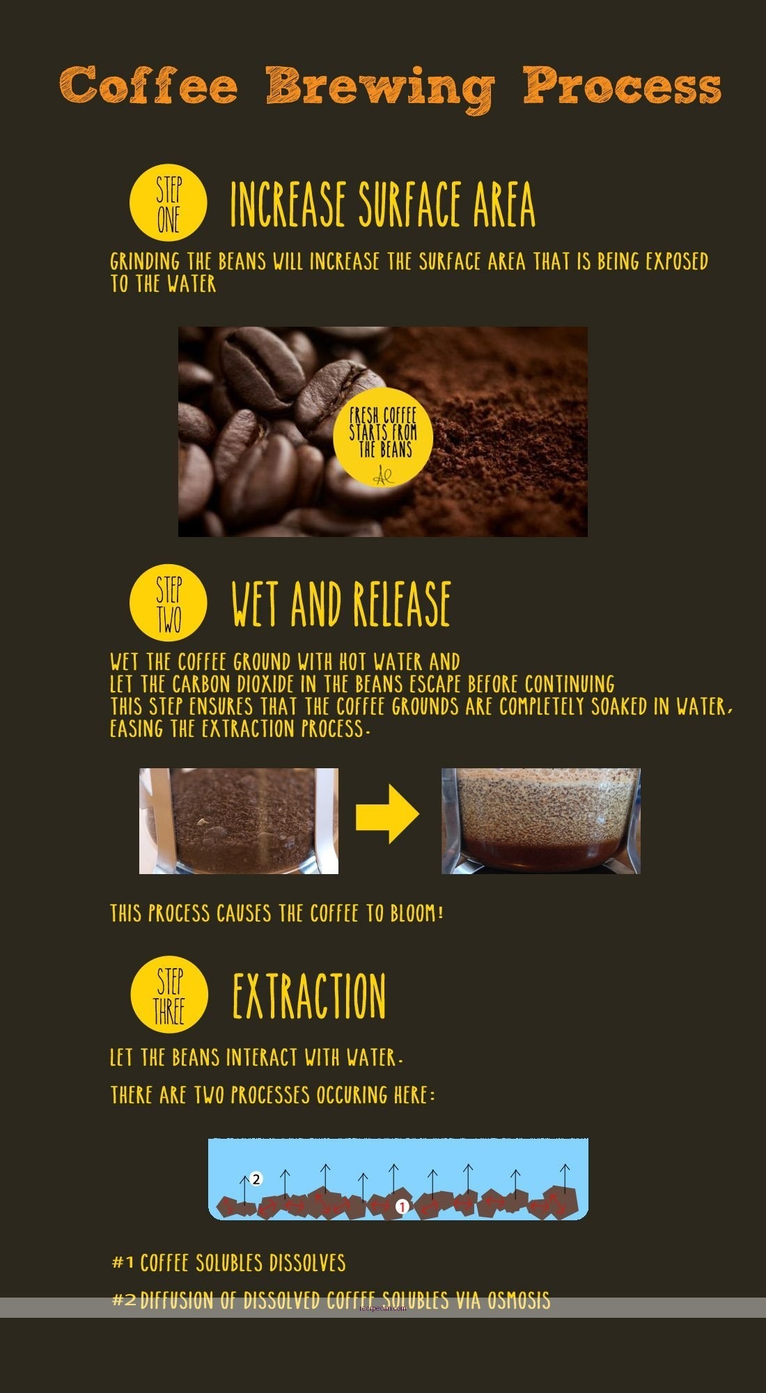 Coffee Brewing Process Step-By-Step Guide Expert Coffee Trick Recipes - coffee trick recipe