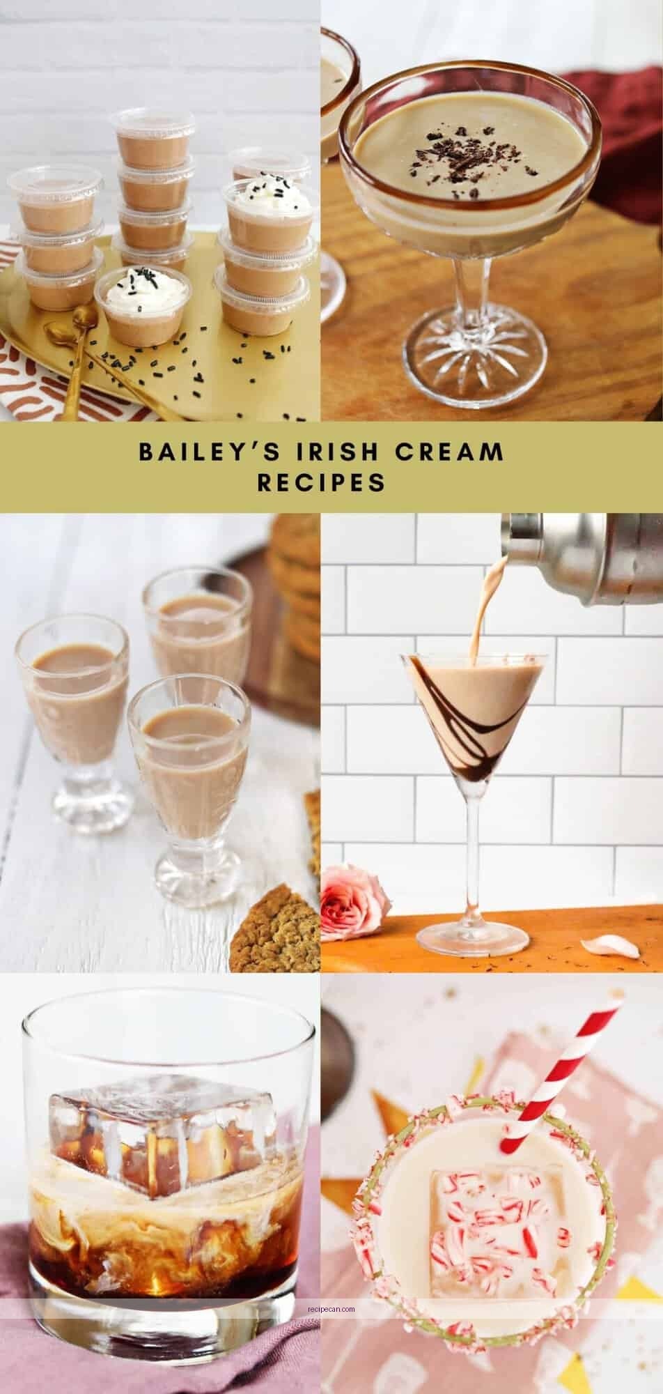 Coffee Drinkers Social Gathering Baileys Irish Cream Cocktails Expert Baileys Irish Cream - baileys irish cream coffee drink recipes