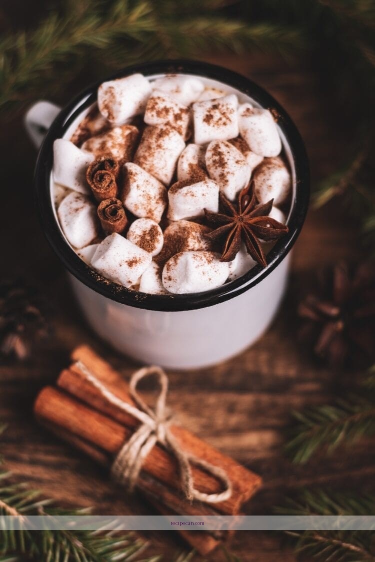 Coffee Enthusiasts Guidebook Reading Expert Javy Coffee Recipes - javy coffee recipes