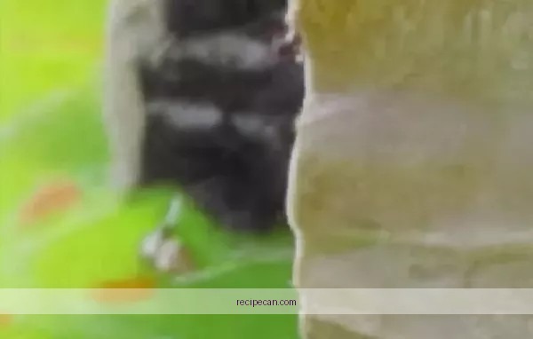 Coffee Icing Recipe Step-By-Step Preparation Delicious Coffee Icing Recipe - recipe coffee icing