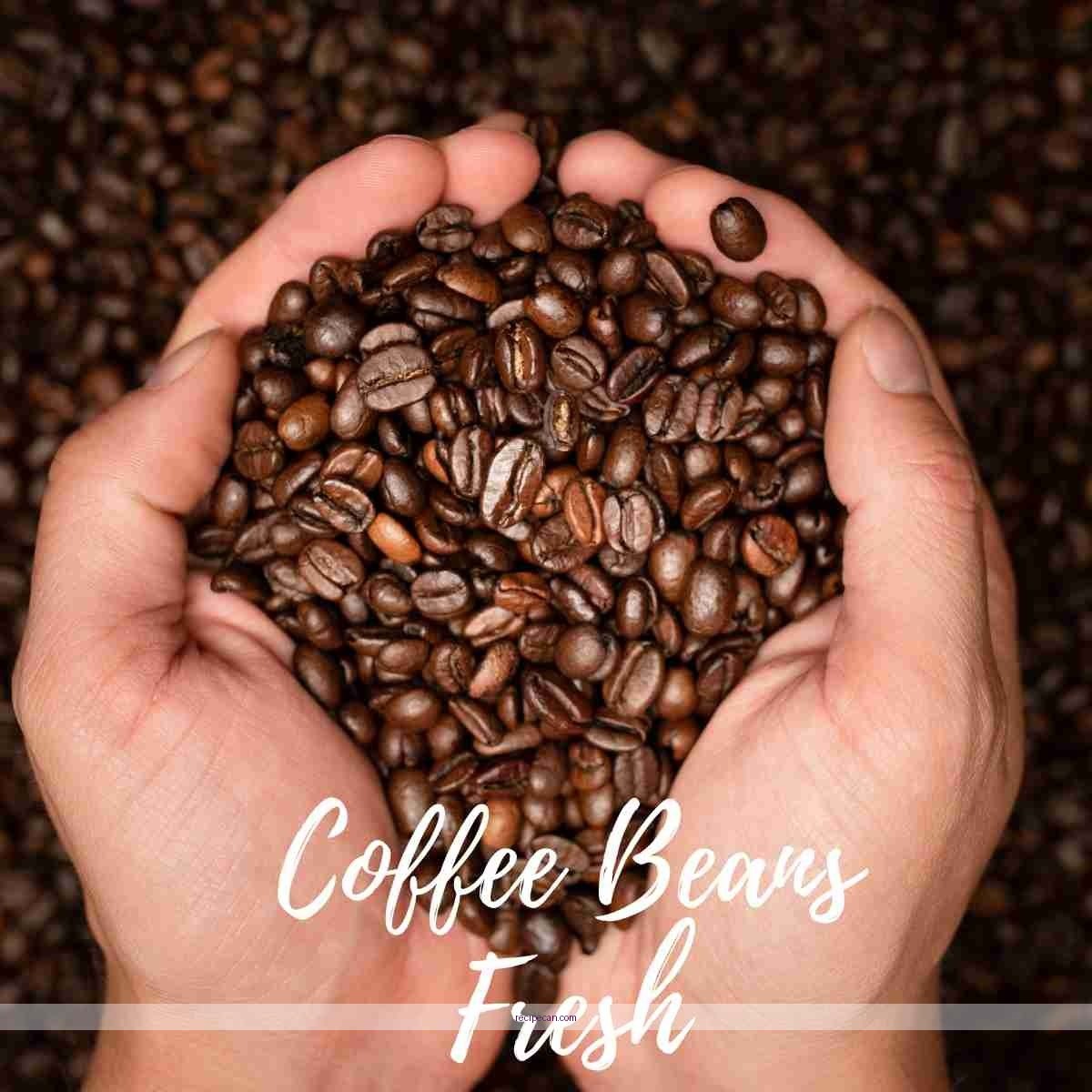Coffee Soda Ingredients Fresh Mint Coffee Beans Delicious Coffee Soda Recipe - coffee soda recipe