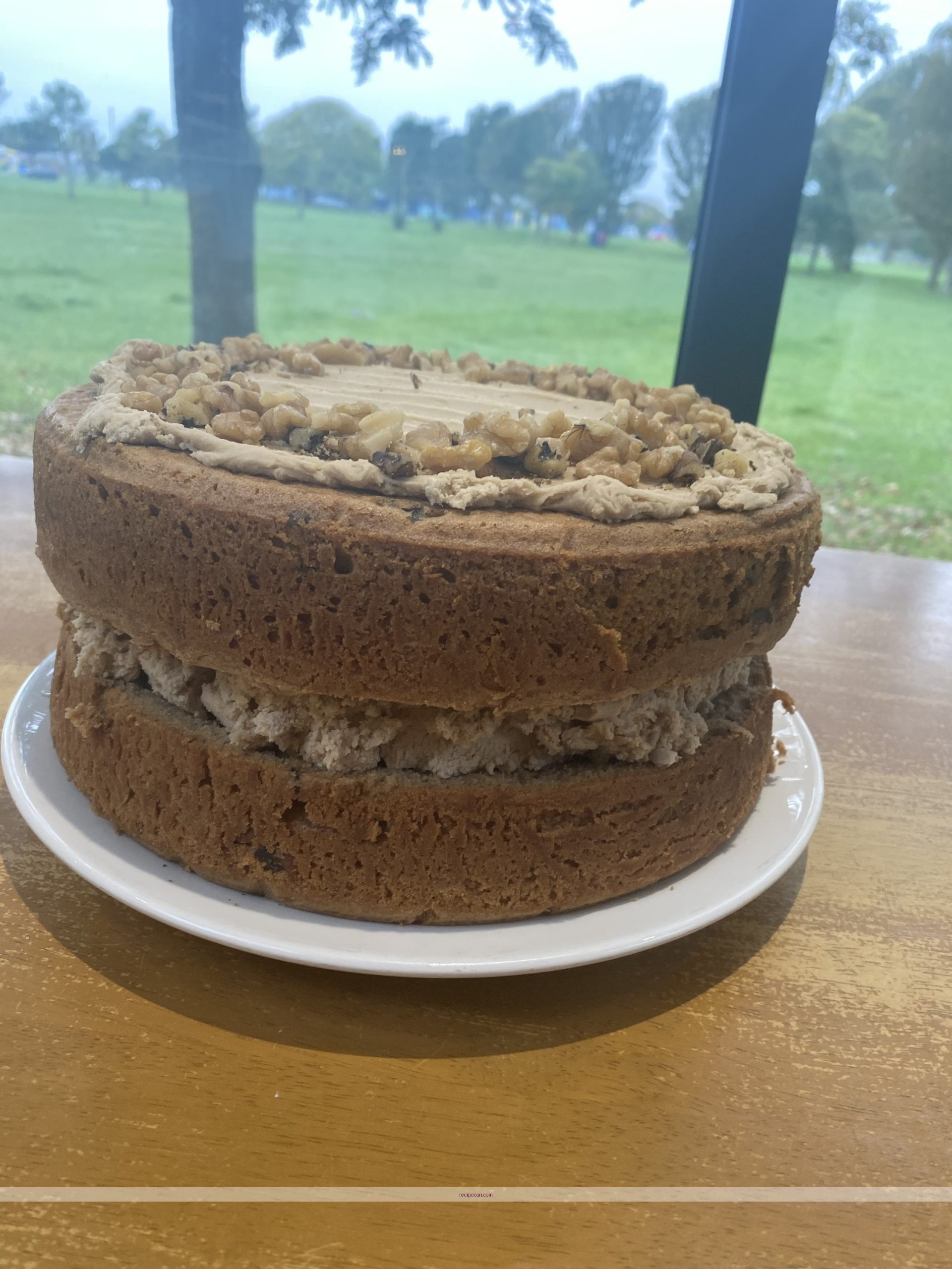 Coffee Walnut Sponge Cake Baking Audience Expert Coffee Walnut Sponge - coffee walnut sponge cake recipe