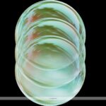 Delicious Recipes for English Trifle: Classic and Creative Ideas