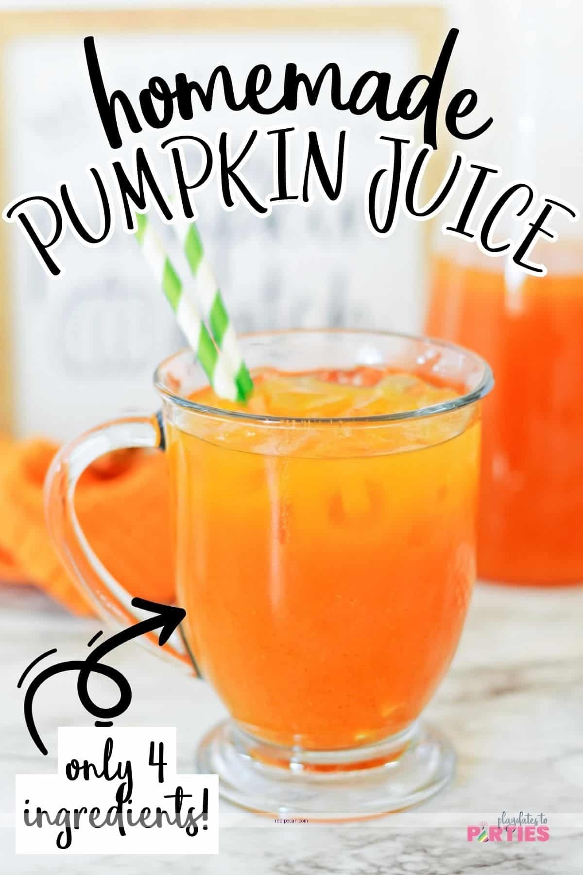 Easy Pumpkin Juice Recipe for a Cozy Fall Treat