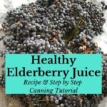 Easy Elderberry Juice Recipe: Make Your Own at Home