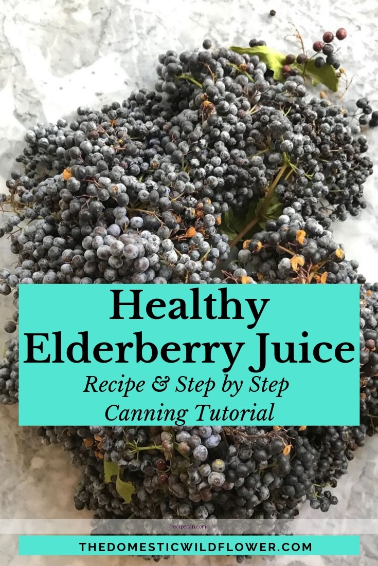 Easy Elderberry Juice Recipe: Make Your Own at Home