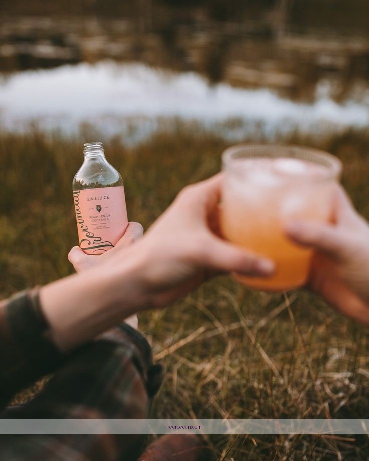 Refreshing Gin and Juice Cocktail Recipe