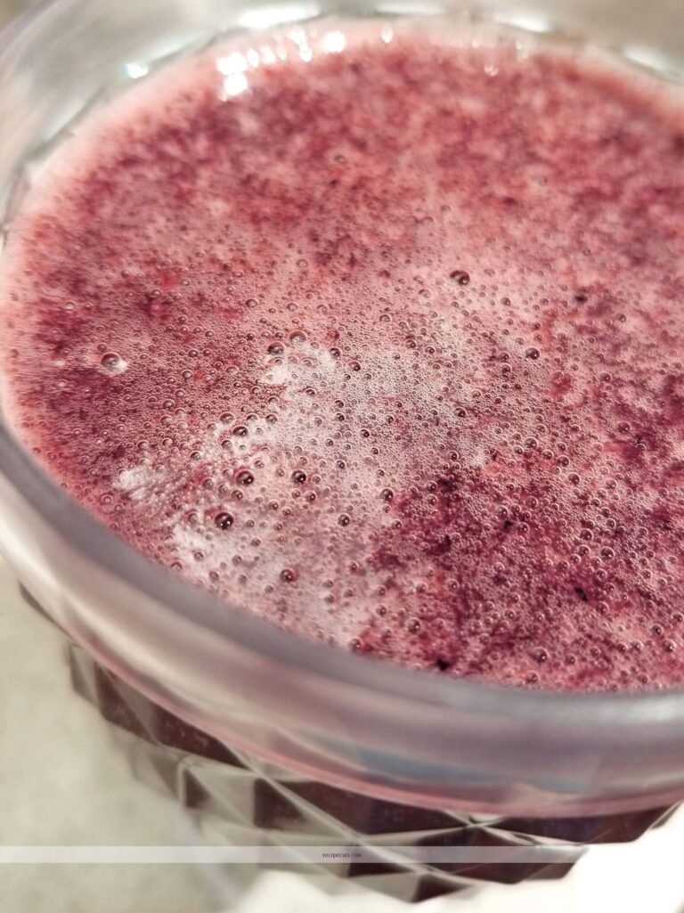 Simple and Delicious Blueberry Juice Recipe