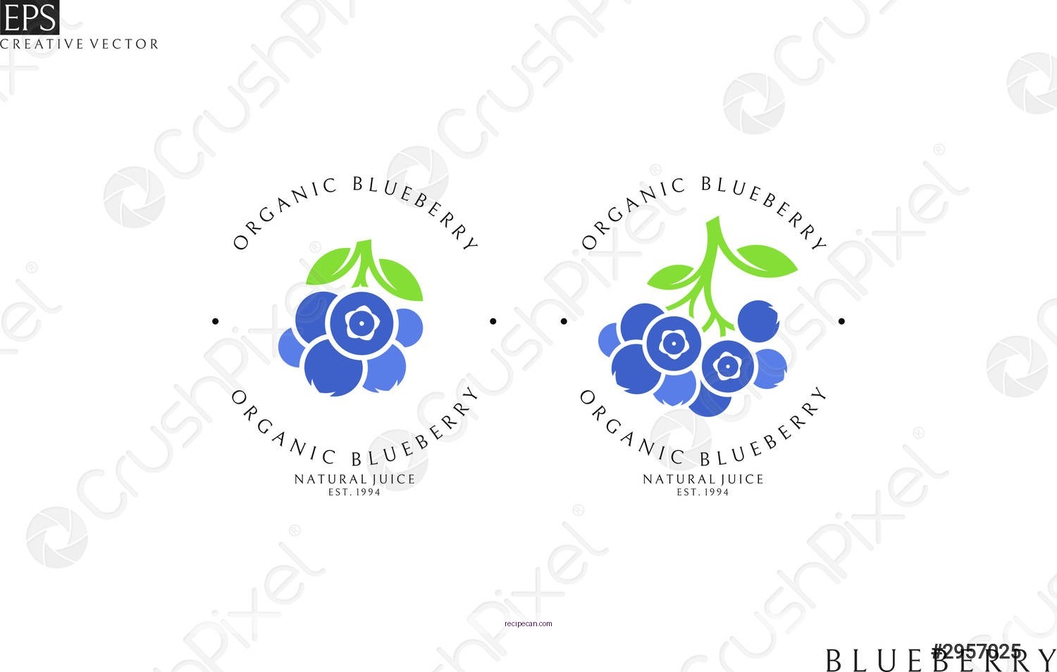 Delicious Recipes Using Blueberry Juice