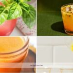 Delicious Juice Shot Recipes for a Healthy Boost