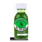 Easy Wheatgrass Juice Recipe for a Healthy Boost