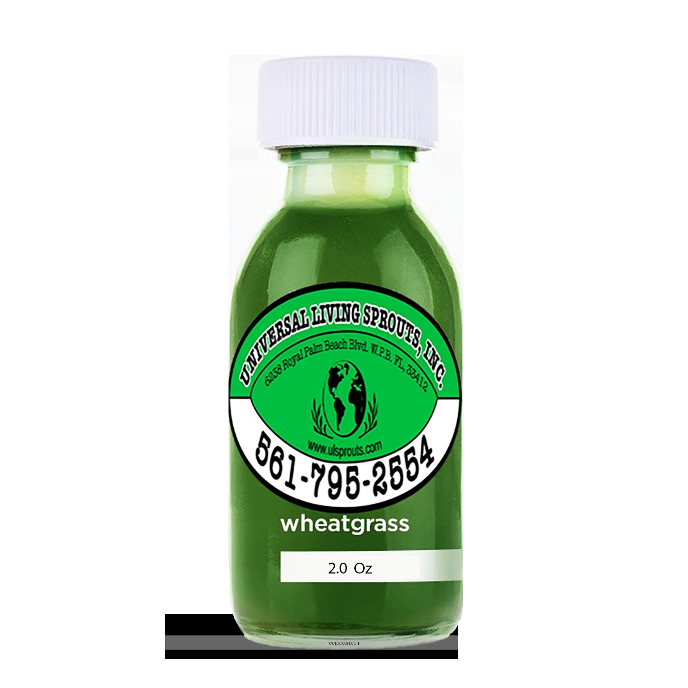 Easy Wheatgrass Juice Recipe for a Healthy Boost
