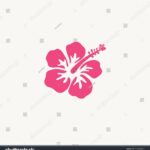 Easy Hibiscus Juice Recipe You Can Make at Home