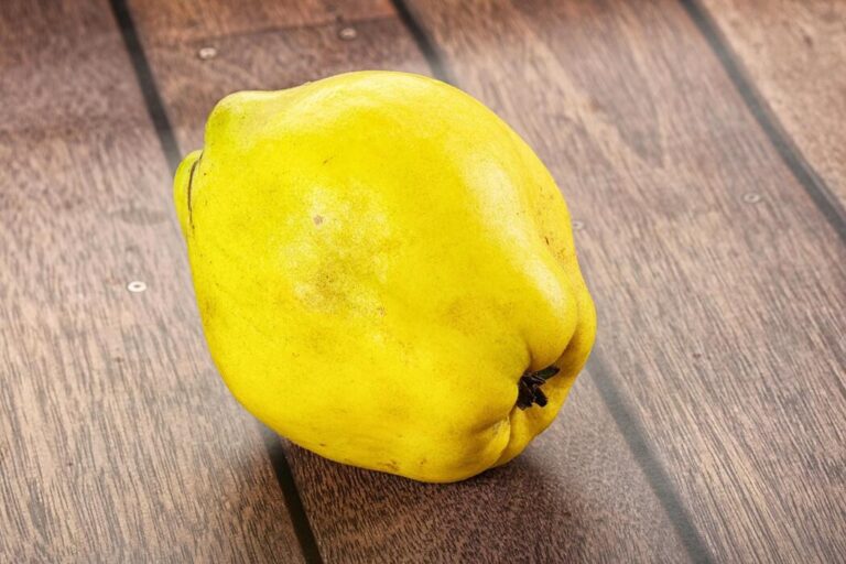 The Complete Step-by-Step Protocol for Making Quince Fruit Jam Safely