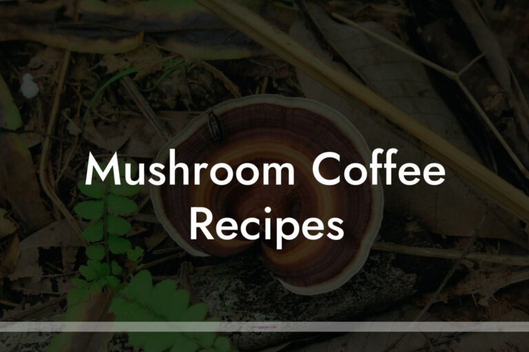 Delicious Mushroom Coffee Recipes You Can Make at Home