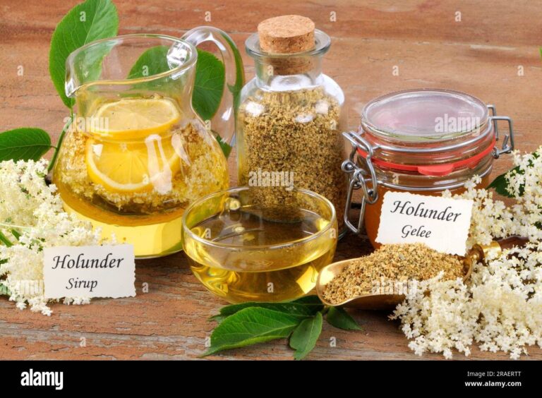 The Expert Guide to Safely Making Elderflower Berry Jam: Step-by-Step Protocol