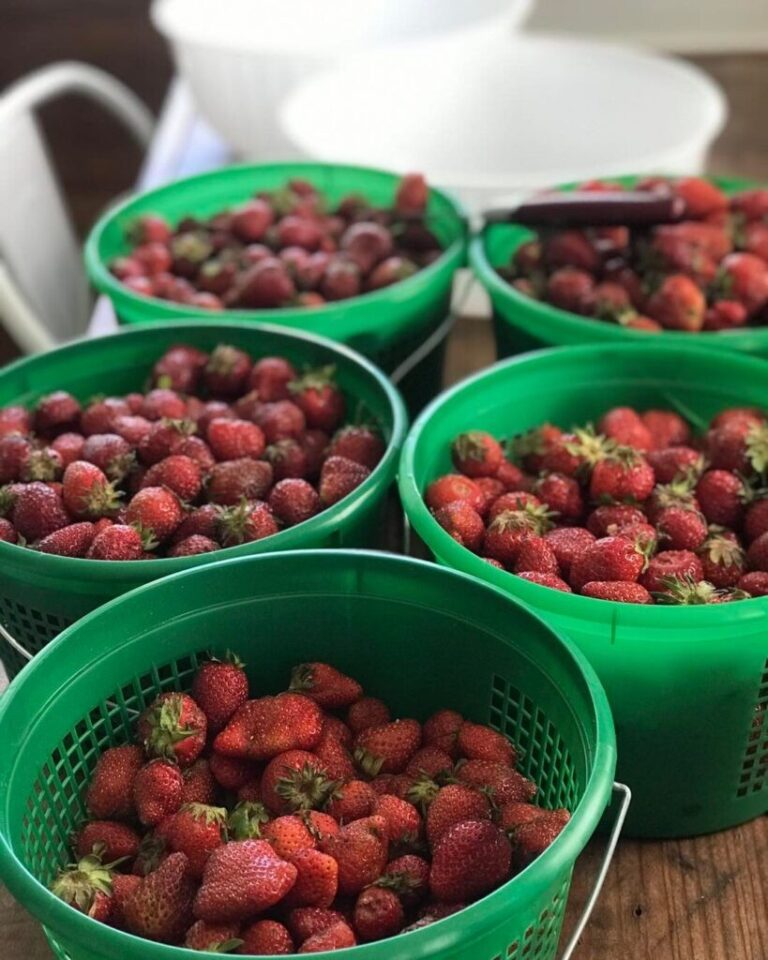 The Complete Guide to Safely Canning Strawberry Jam: Expert Protocol