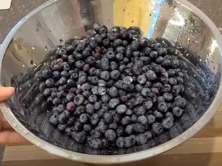 The Complete Expert Guide to Safely Making Sure Jell Blueberry Jam