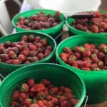 The Complete Step-by-Step Protocol for Safely Canning Strawberry Jam