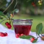 The Complete Expert Guide to Safely Making Mayhaw Jam