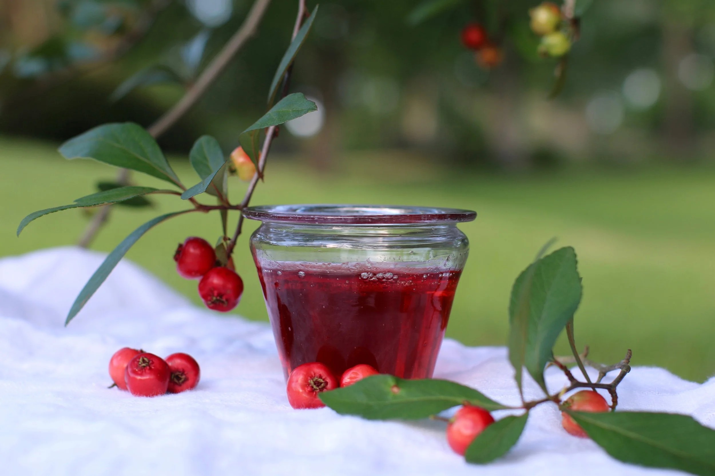The Complete Expert Guide to Safely Making Mayhaw Jam