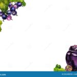 The Complete Expert Guide to Safely Making Blackcurrant Jam