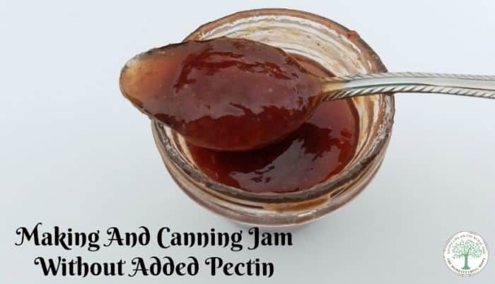 The Complete Guide to Making Jam Without Pectin: Expert Protocol