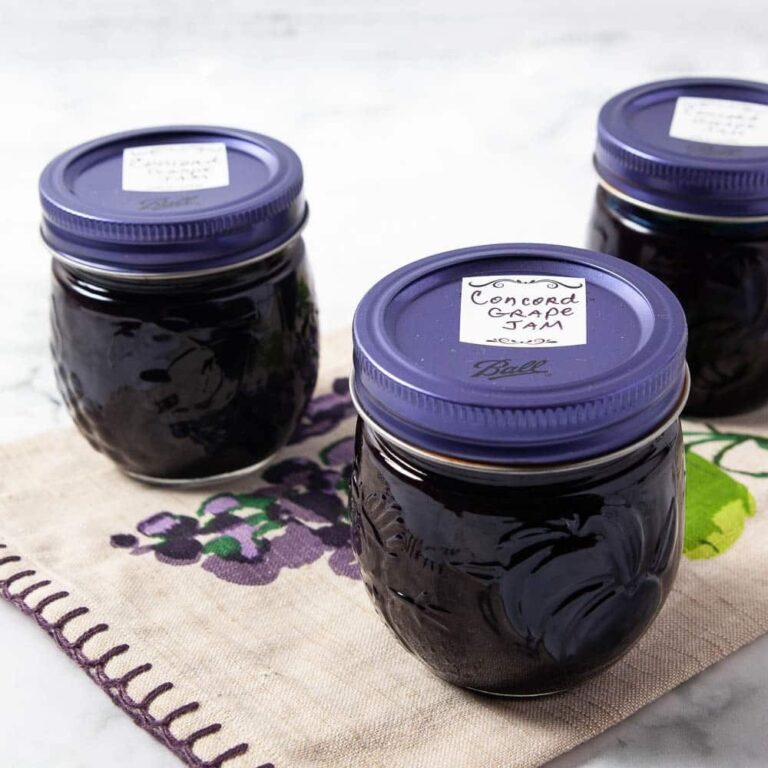 The Complete Protocol for Safely Making Concord Grape Jam