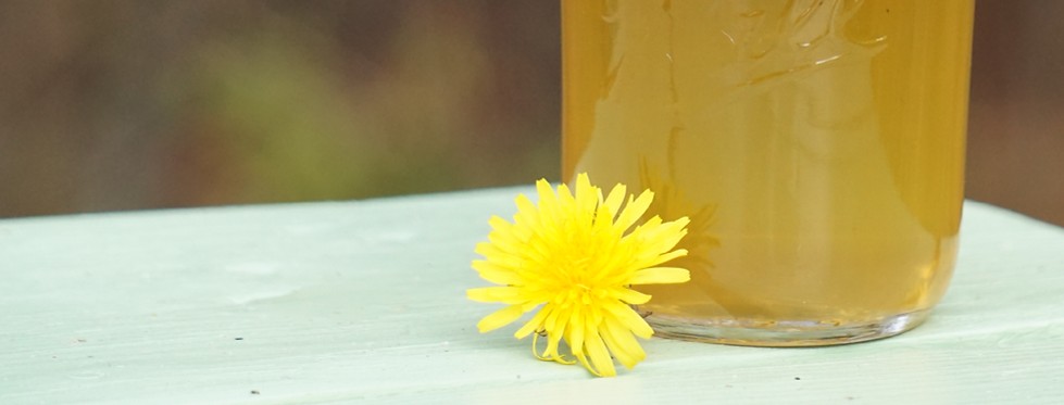 The Complete Expert Guide to Safely Making Dandelion Jelly