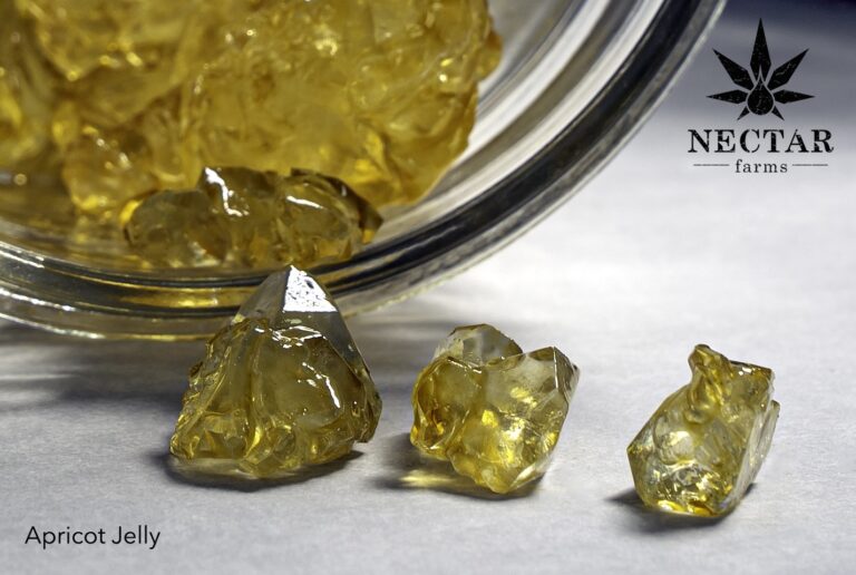 The Complete Expert Guide to Safely Making Apricot Jelly