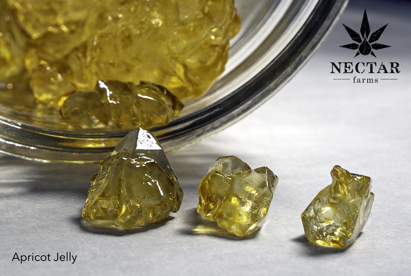 The Complete Expert Guide to Safely Making Apricot Jelly