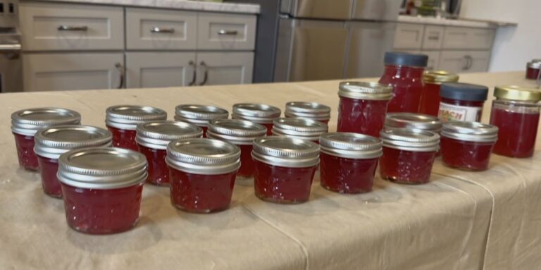 The Complete Expert Guide to Safely Making Redbud Jelly