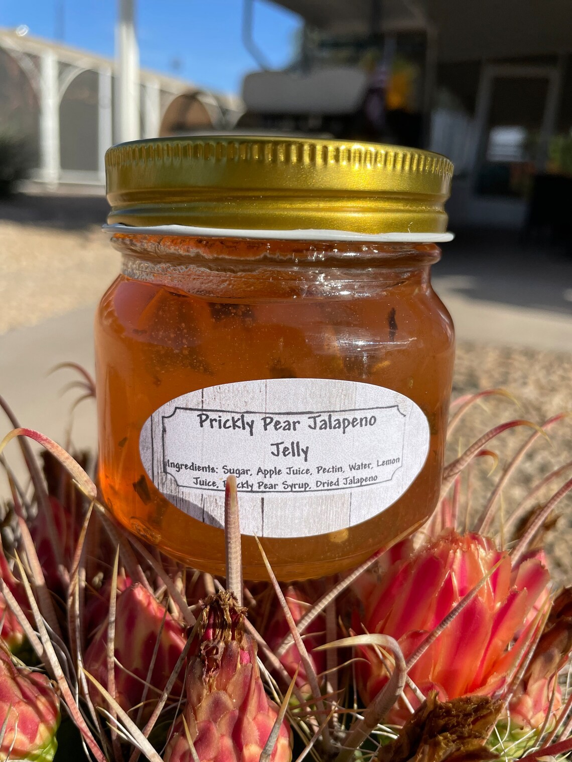 The Expert Guide to Safely Making Prickly Pear Jelly: A Step-by-Step Protocol