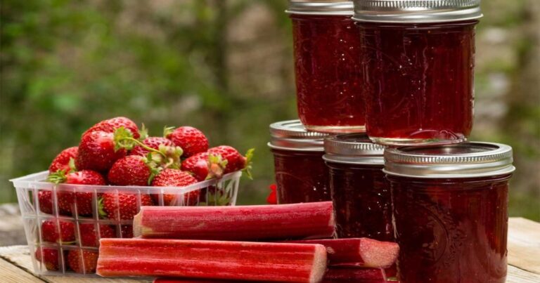 The Complete Expert Guide to Safely Making Rhubarb Strawberry Jelly