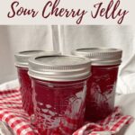 The Complete Expert Guide to Safely Making Sour Cherry Jelly