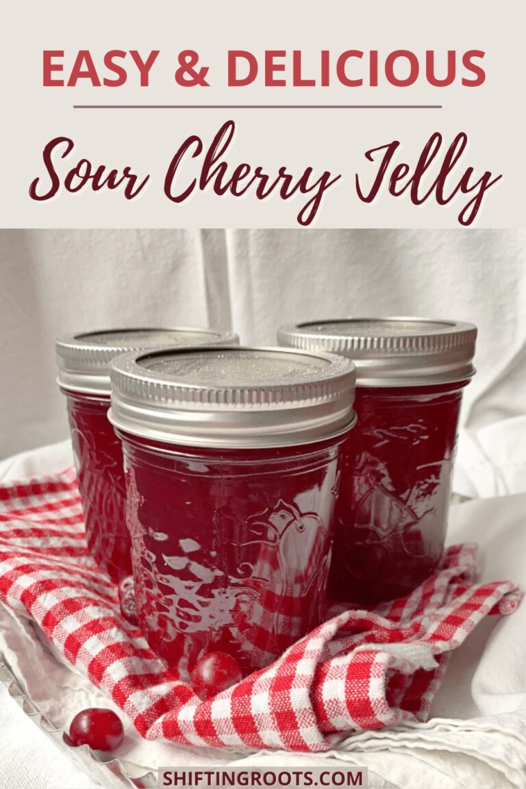 The Complete Expert Guide to Safely Making Sour Cherry Jelly