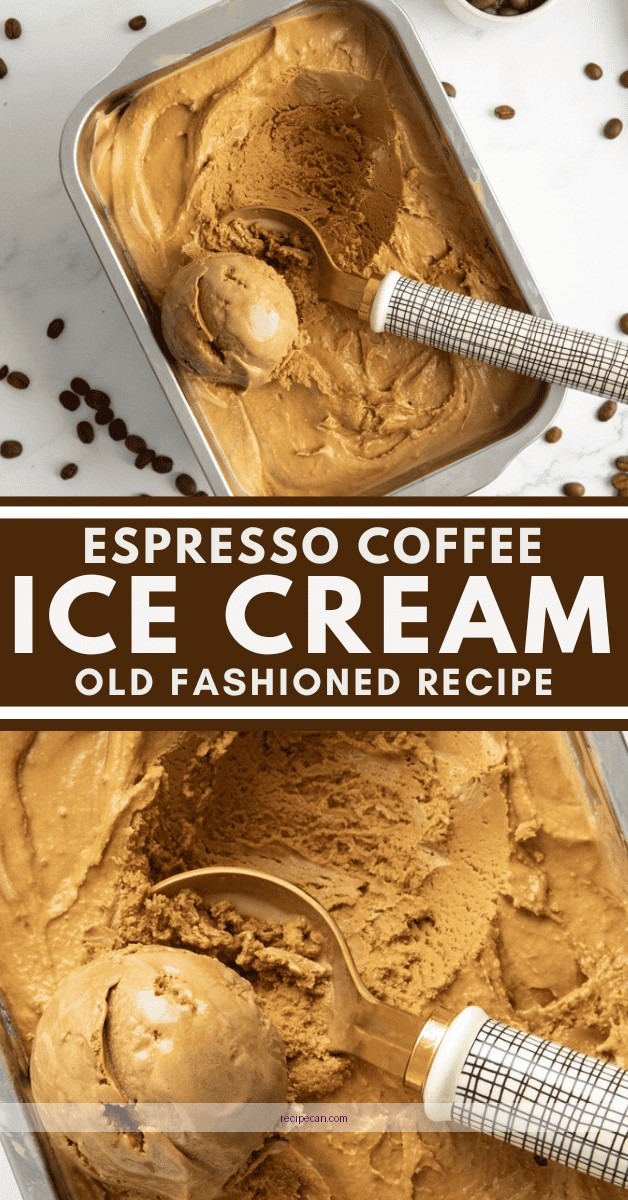 Instant Coffee Ice Cream Recipe Homemade Dessert Bowl Easy Instant Coffee Ice - instant coffee ice cream recipe