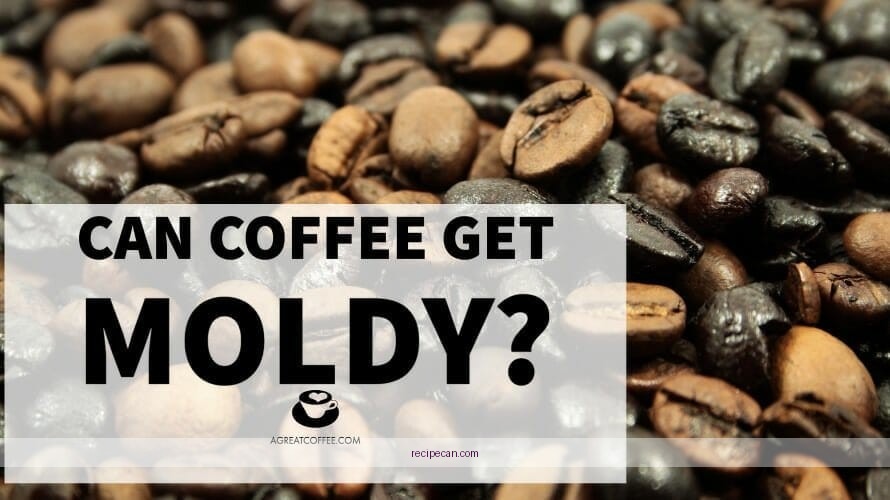 Moldy Coffee Honey Unsafe Ingredients Warning Signs Expert Crafting Coffee Honey - coffee honey recipe