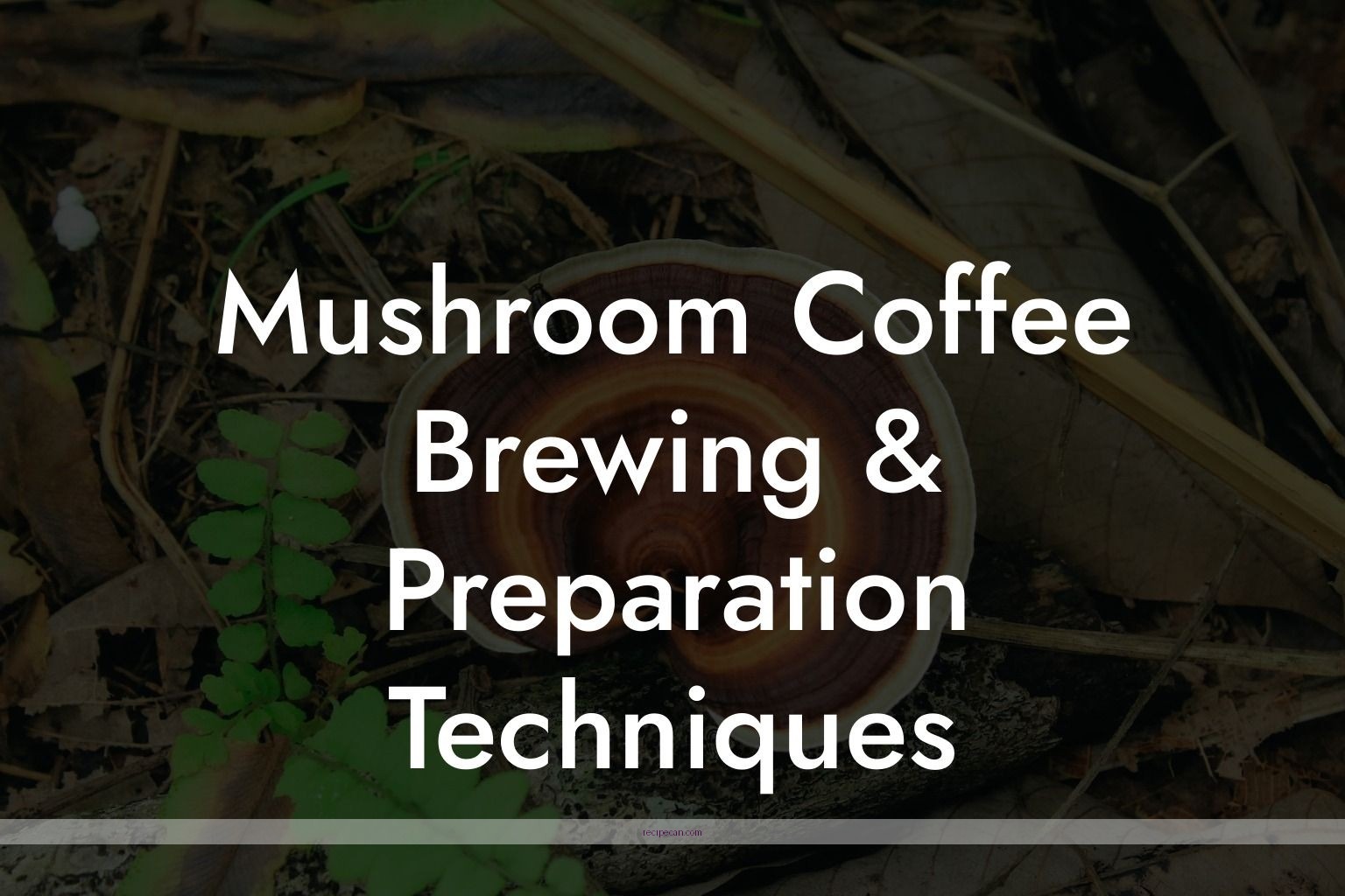 Mushroom Coffee Preparation Step-By-Step Brewing Process Delicious Mushroom Coffee Recipes - mushroom coffee recipes