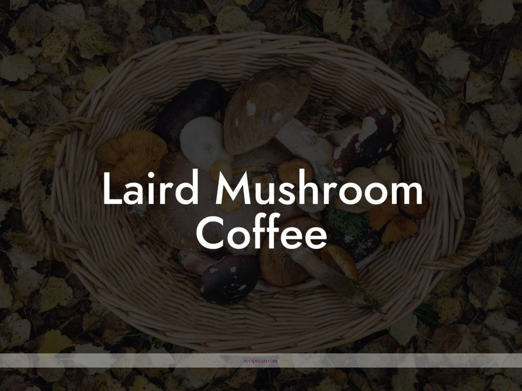 Mushroom Coffee Recipe Ingredients Brewing Process Delicious Ryze Mushroom Coffee - ryze mushroom coffee recipes