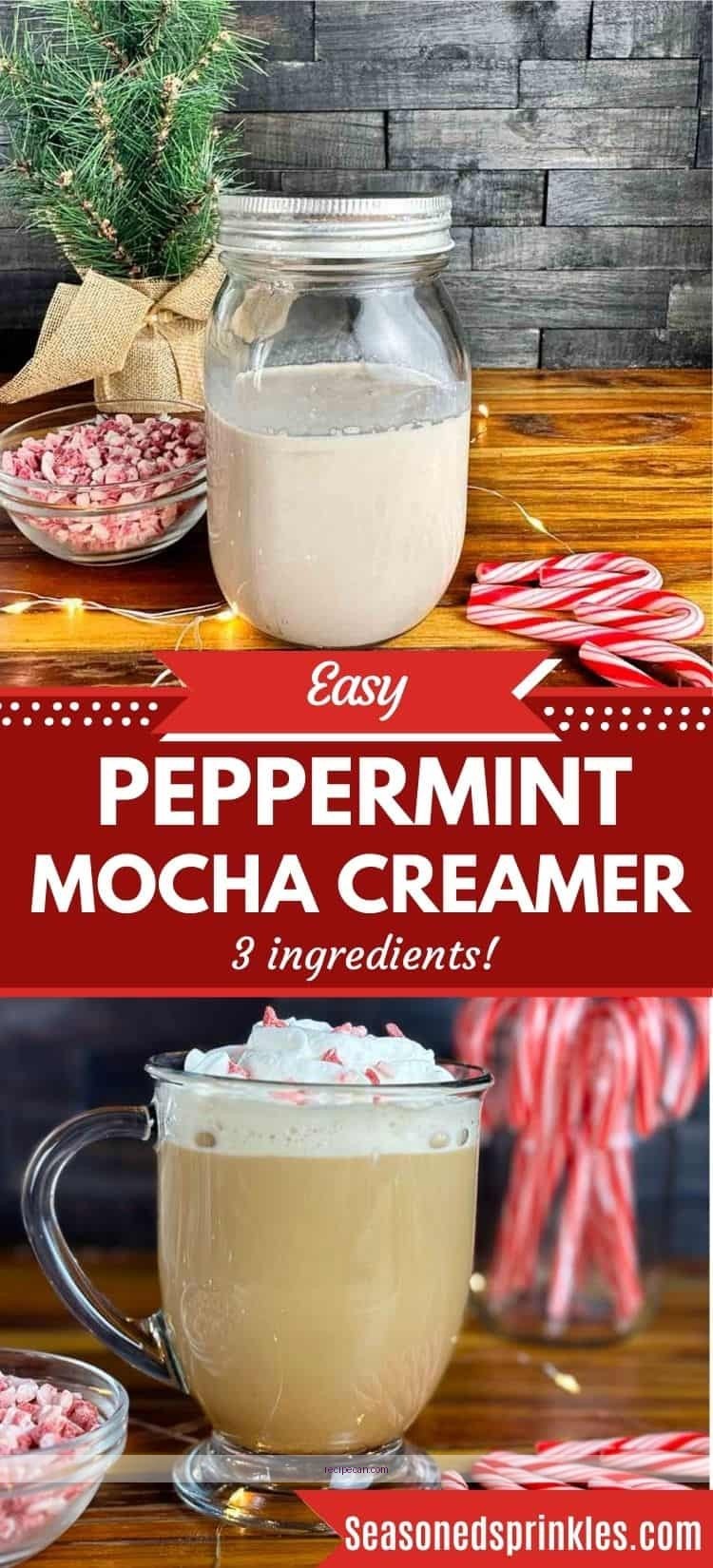 Spoiled Coffee Creamer Mold Warning Signs Expert Homemade Peppermint Mocha - peppermint mocha coffee creamer recipe
