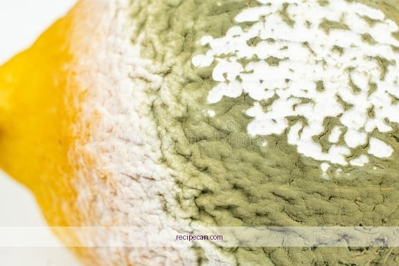 Spoiled Coffee Fruit Smoothie Warning Signs Mold Expert Crafting Coffee Fruit - coffee fruit smoothie recipes