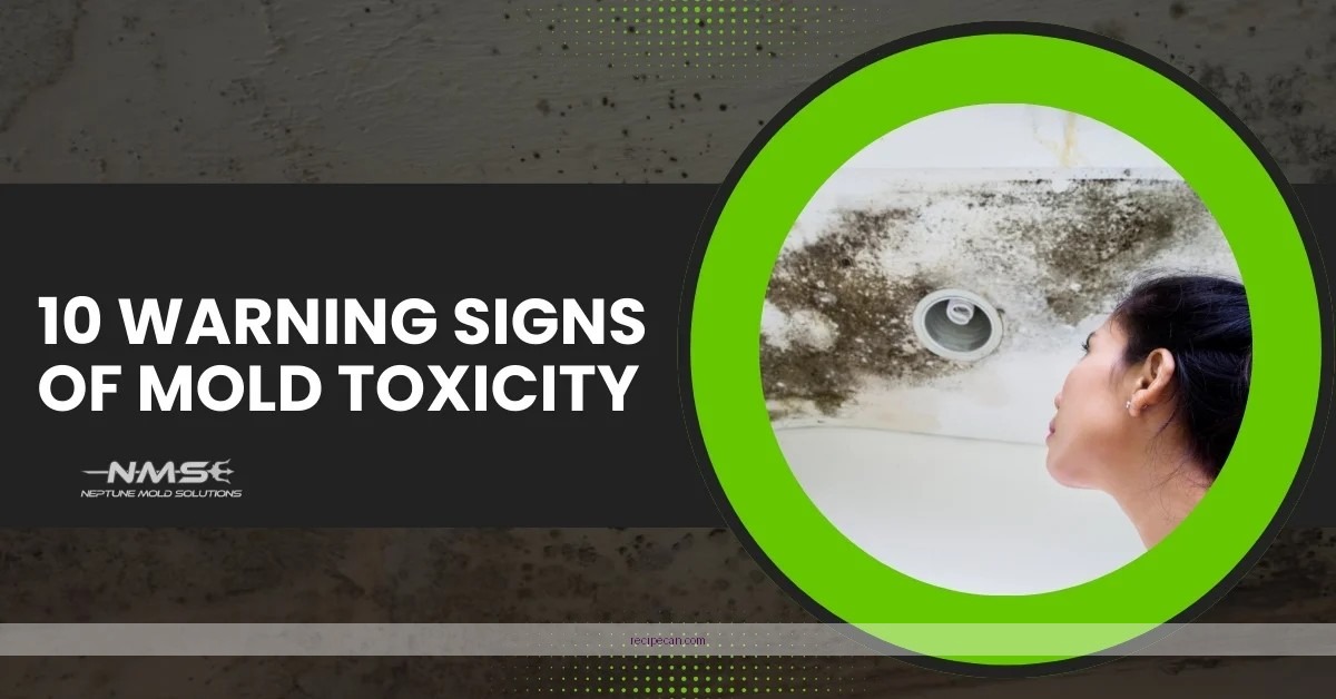 Spoiled Coffee Liqueur Warning Signs Mold Contamination Expert Safely Making Baileys - baileys liqueur coffee recipe