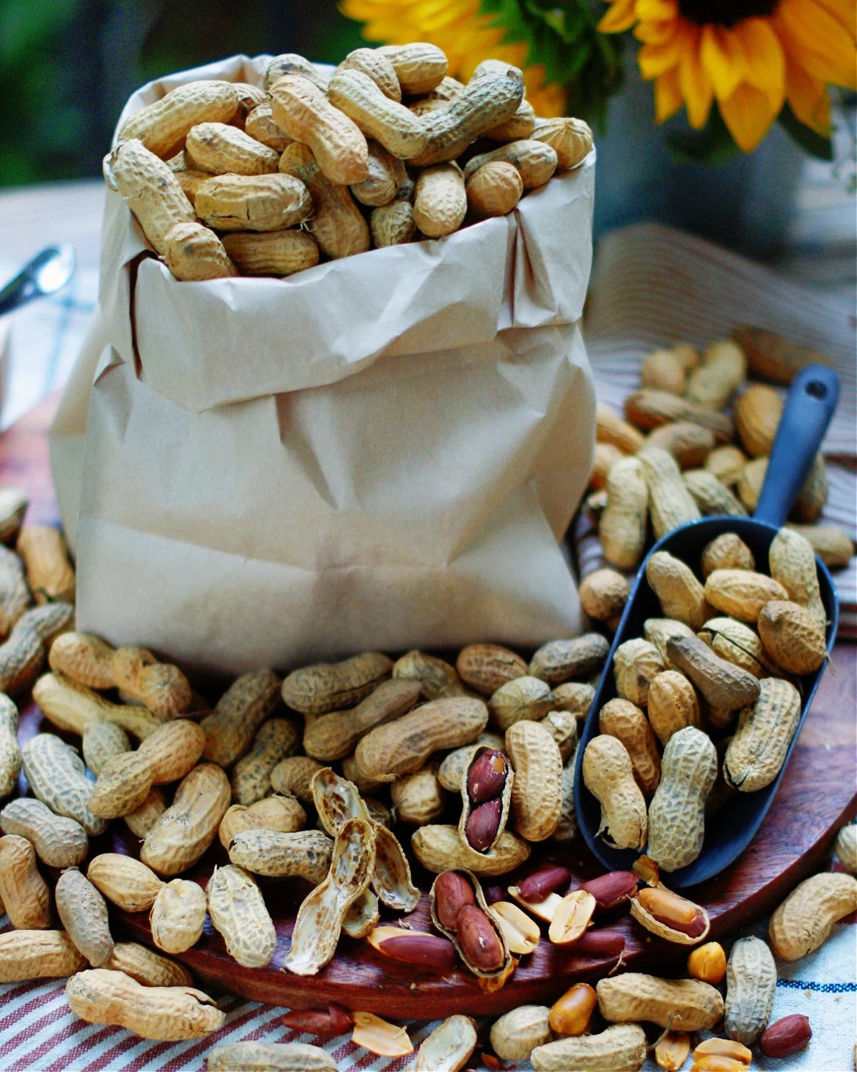 Peanut Butter Ingredients - peanut butter balls recipe